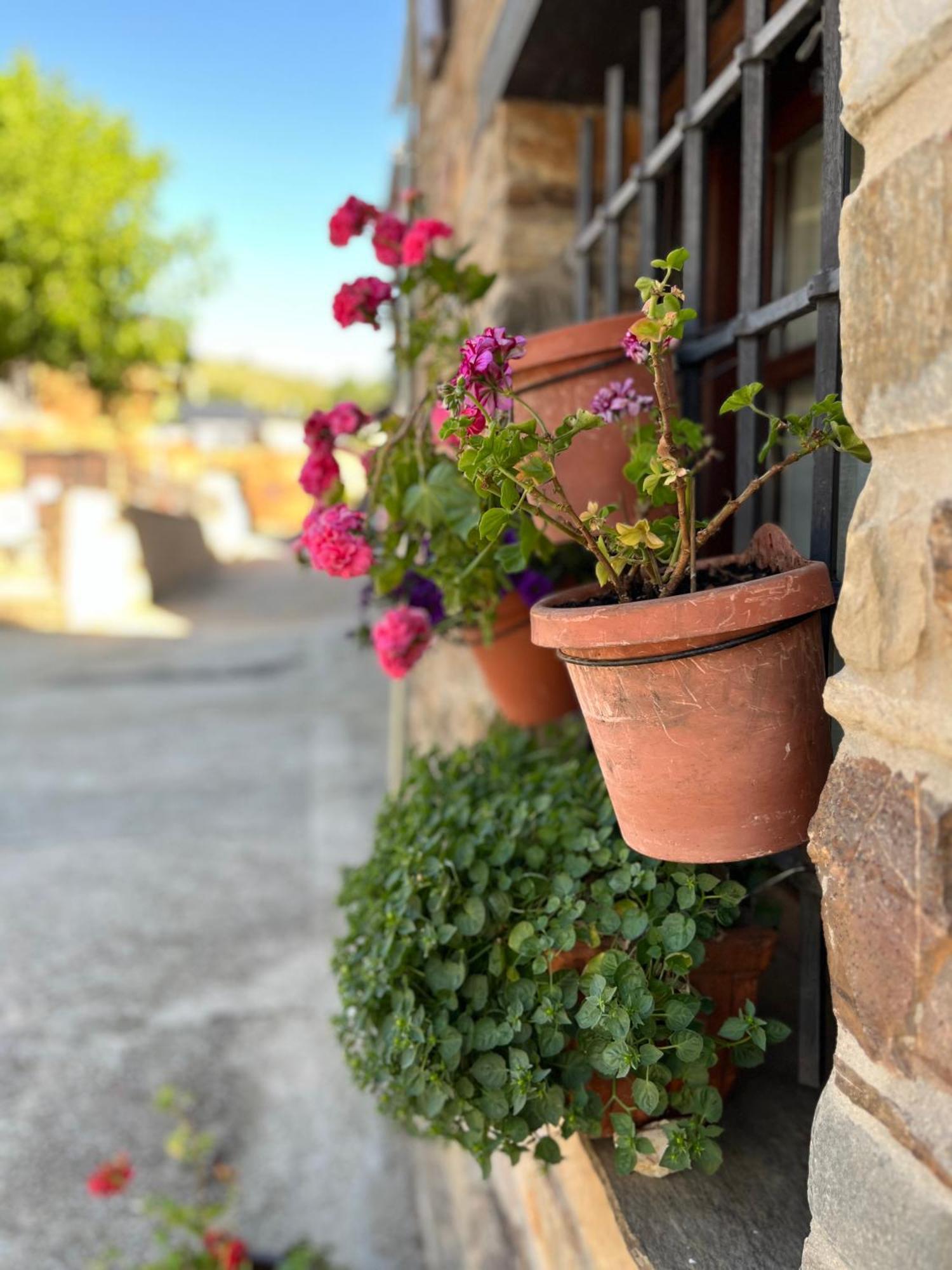 La Casina De Gelo Villa Riego de Ambros Buitenkant foto