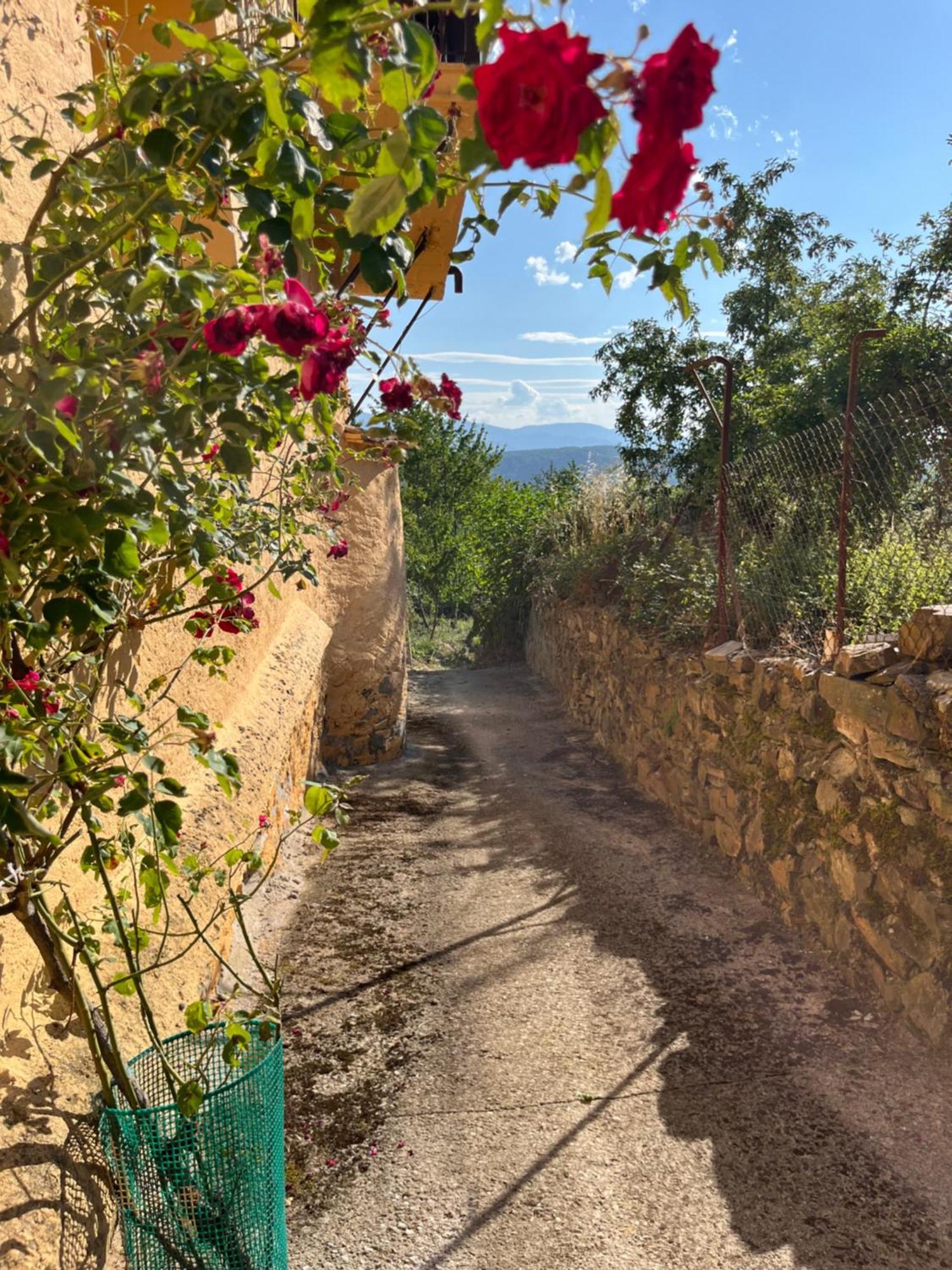 La Casina De Gelo Villa Riego de Ambros Buitenkant foto
